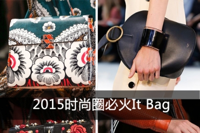 2015时尚圈必火It Bag