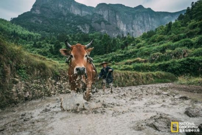 浙江的仙居 这里是神仙居住的世外桃源？