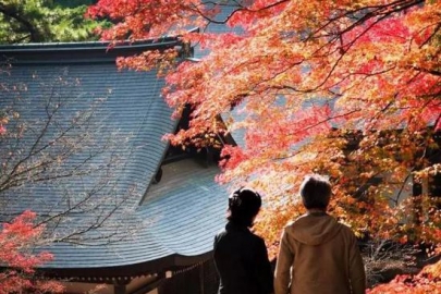 京都私藏的这些红叶胜地让人惊叹不已