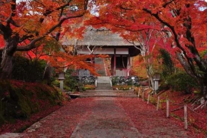 世界太浮躁 去京都的寺院听雨看枫静静心