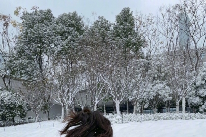 沈梦辰晒初雪美照 针织衫映衬白雪美成画报